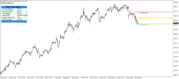 Beast Super Signal V5.0 - Image 5